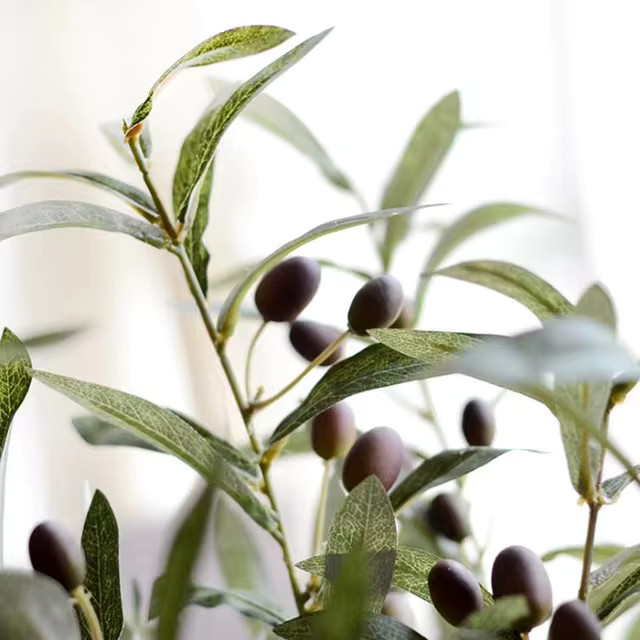 Artificial European Olive Tree Branches With Olive Fruit Leaves For Home Hotel Wedding Diy Decora... | Ali Express BR