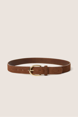 EVEREVE Women's Lottie Suede Belt, Size Medium/Large, Chocolate Brown | Evereve