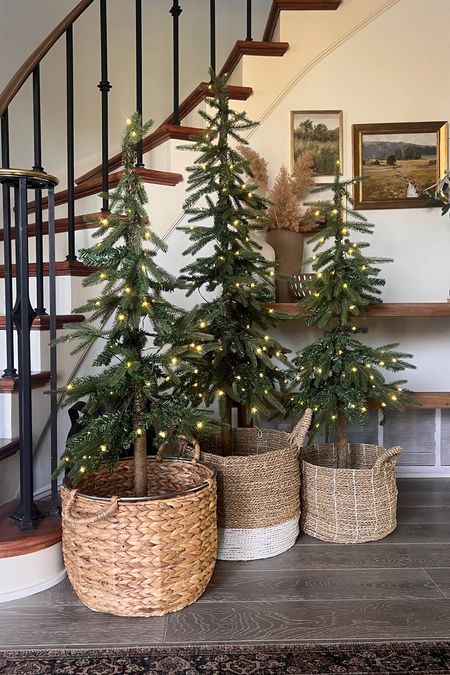 Love this tree in basket look!

#LTKsalealert #LTKfindsunder50 #LTKHoliday