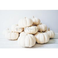 Fall White Pumpkin Image  Styled Stock Holiday with blank space  Pumpkins for Blogs Websites and Instagram | Etsy (US)