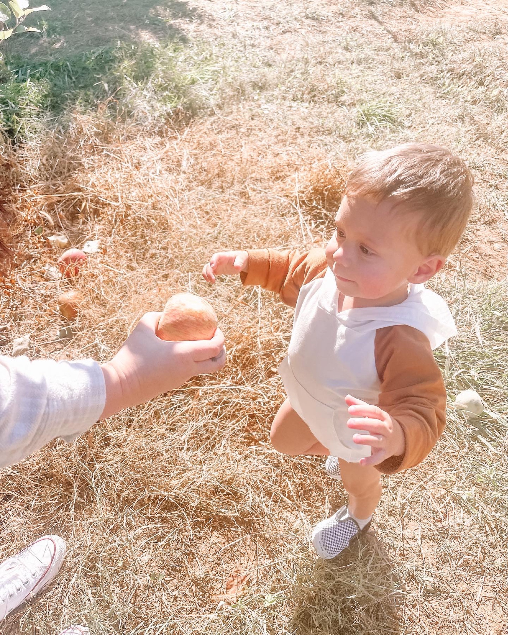 Fall fashion for little dude 