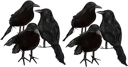 6pcs Real Touch Black Feathered Small Crows Birds Ravens for Halloween Decor | Amazon (US)