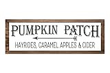 Pumpkin Patch Fall Farmhouse Framed Wood Sign, Wall Hanging or Free Standing Shelf Home Accent Decor | Amazon (US)