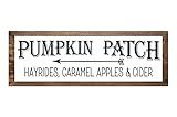 Pumpkin Patch Fall Farmhouse Framed Wood Sign, Wall Hanging or Free Standing Shelf Home Accent Decor | Amazon (US)