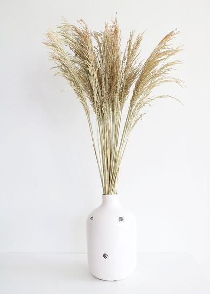 Preserved Congo Grass | Afloral (US)