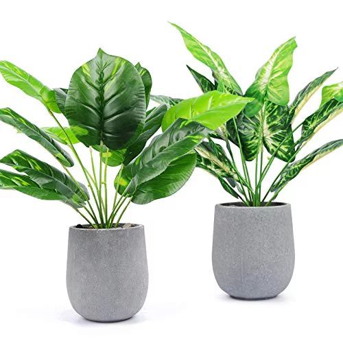 JC nateva 2 Packs Small Fake Plants Artificial Potted Faux Plants for Office Desk Shelf Bathroom ... | Walmart (US)