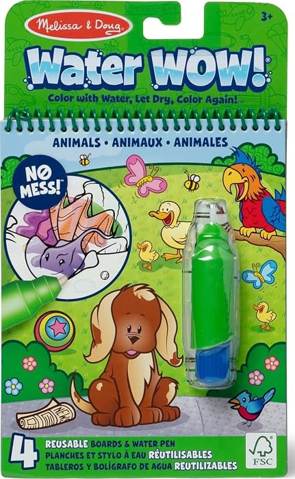 Melissa & Doug On the Go Water Wow! Mess Free Coloring Book, Reusable Water-Reveal Activity Pad, ... | Amazon (US)