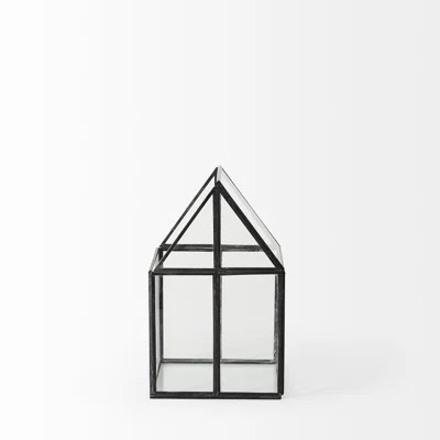 Amarina Clear And Black Glass and Metal Terrarium Box | Wayfair North America