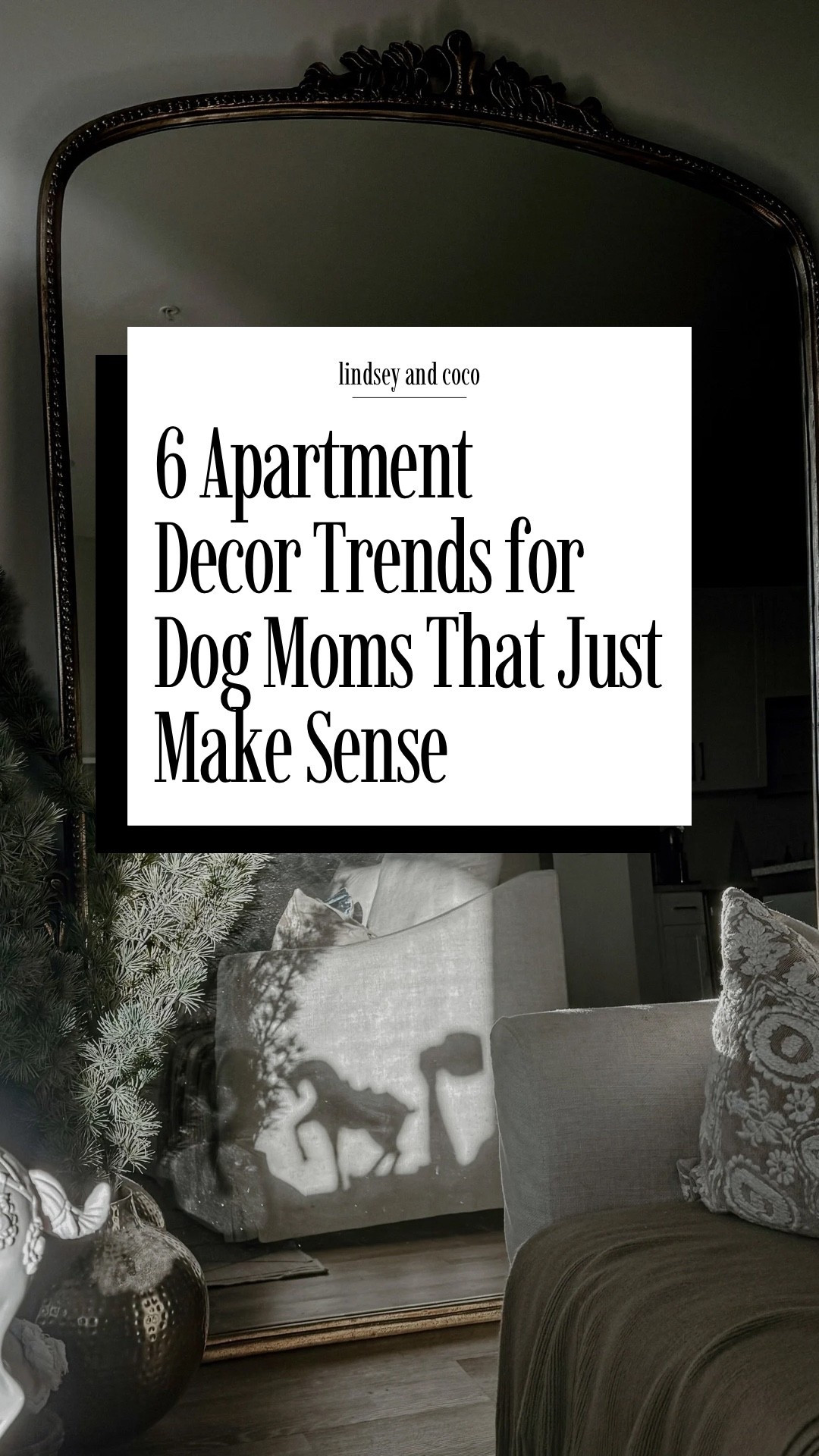 Apartment Decor Gift Guides for Dog Moms

Scroll to shop. I’m so glad you’re here. 
#LTKPet

#LTKmomlife #LTKHome #LTKGiftGuide