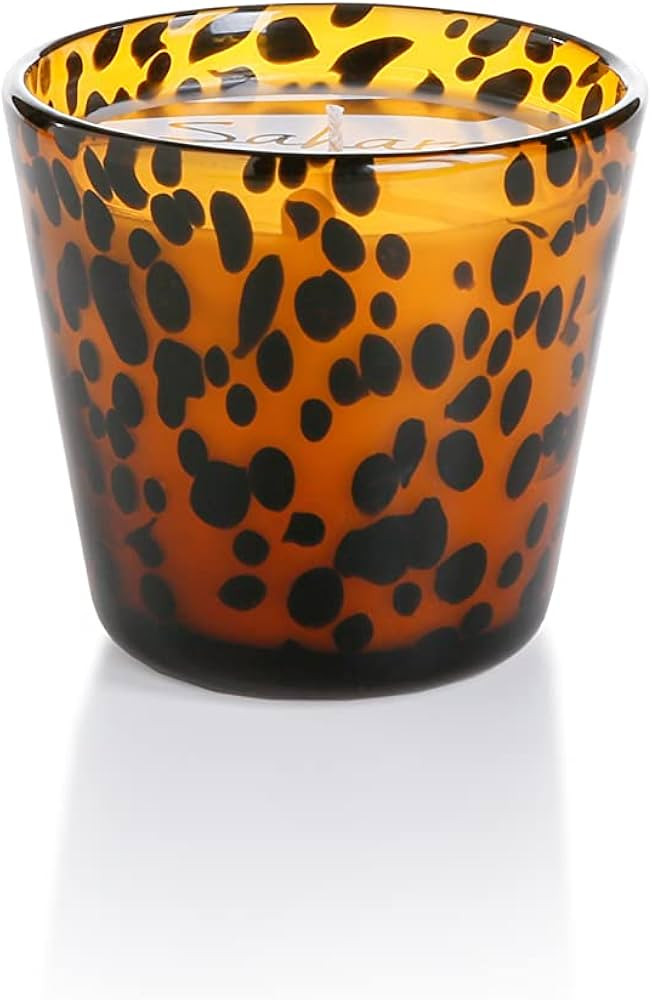Zodax Sahara Tortoise Candle Jar Coconut Mango 3.75 in x 4 in 50 Hr Burn Time | Amazon (US)