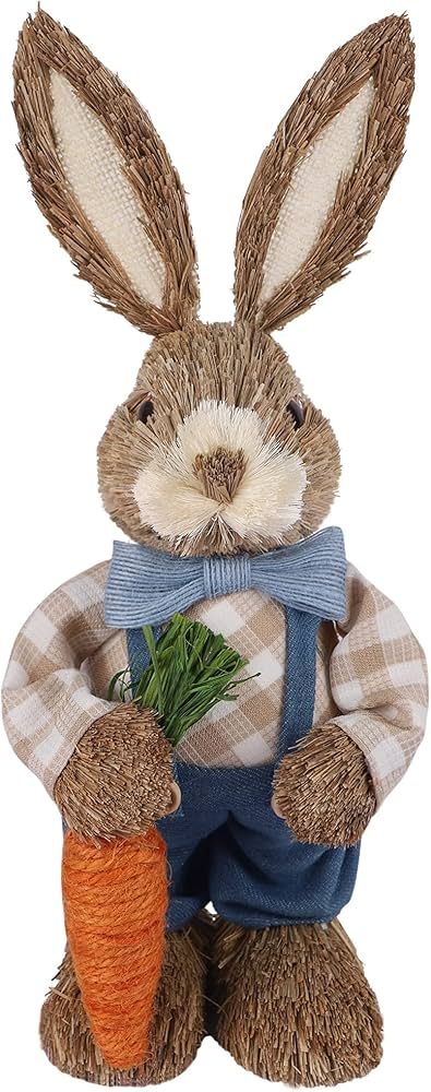 DR.DUDU Easter Decorations Bunny, 13.8" Tabletop Sisal Easter Bunny Figurine with Carrot, Straw R... | Amazon (US)