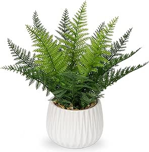 DILATATA Faux Plant Indoor in Ceramic Pot 13" Artificial Potted Fern Fake House Plants for Desk O... | Amazon (US)