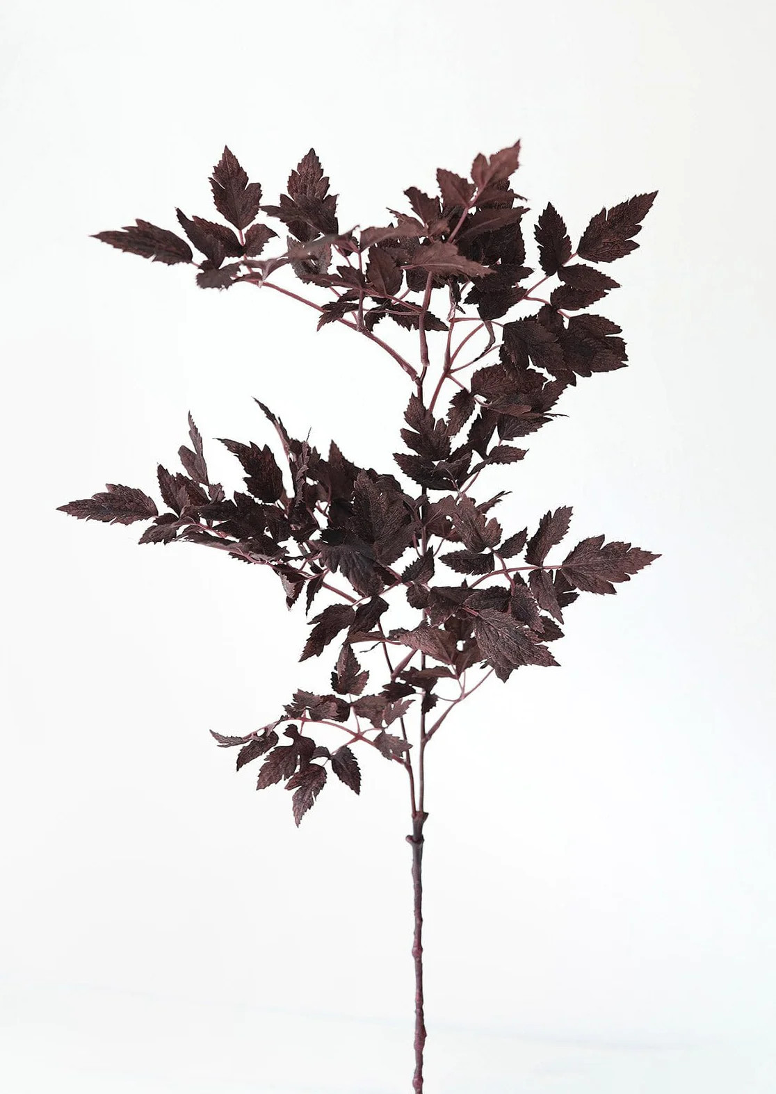 Plum Fake Cimicifuga Ramosa Leaves - 31" | Afloral