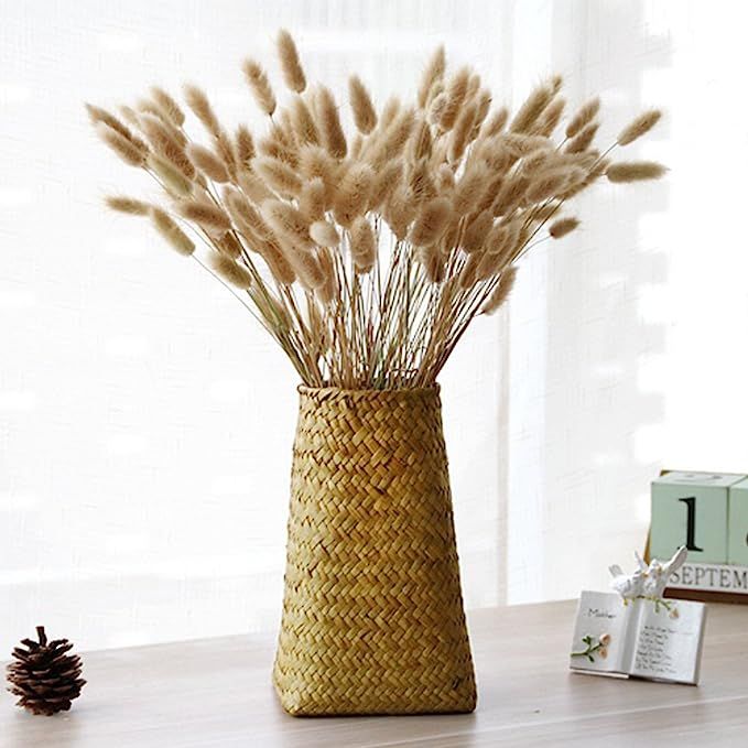 SHDAO Natural and Plush Woven Seagrass Flower Vase Seagrass Wicker Woven Vase | Amazon (US)