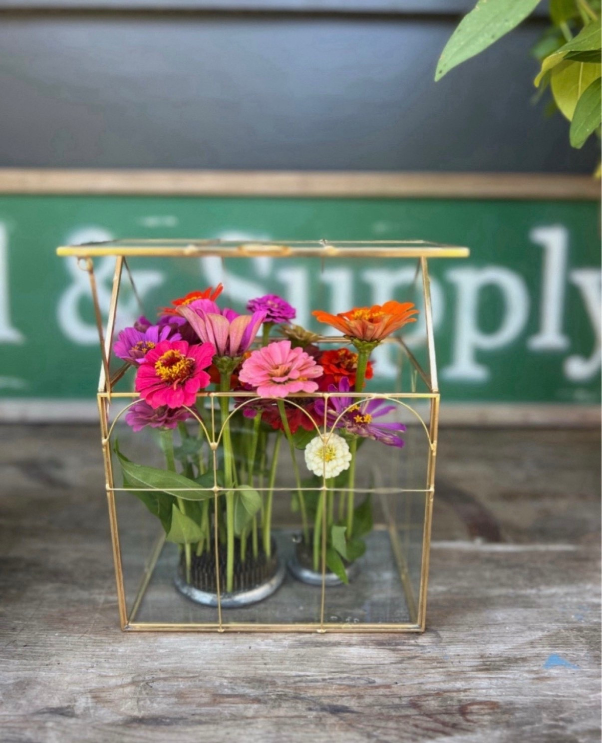 Gardeners, get ready for flower arranging season! Last year, I used this gold terrarium and fresh-cut zinnias from my garden to create the prettiest arrangement! The terrarium adds an elegant touch, and of course, I used a flower frog for that vintage charm.

While waiting for spring blooms, this is perfect for displaying dried flowers too! Such a great way to showcase the beauty of your garden year-round.

#LTKFind #LTKunder100 #LTKunder50