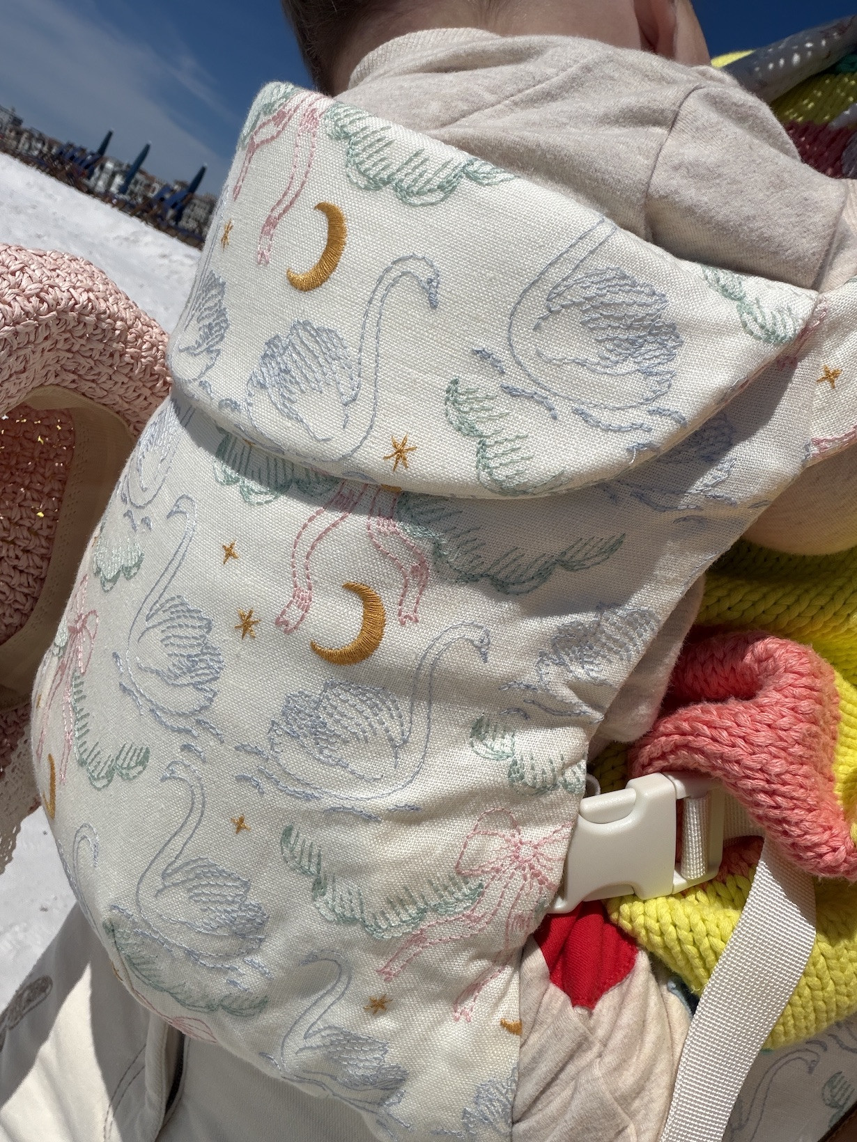 Love this carrier pattern 