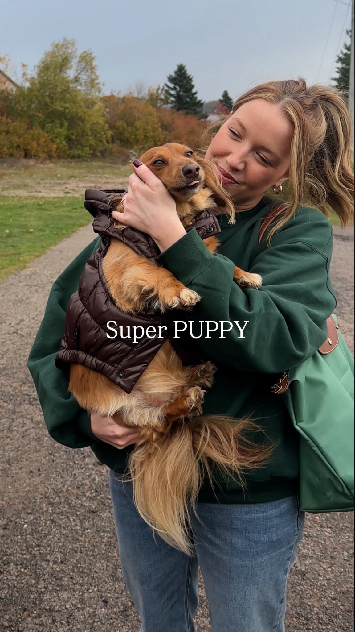 Leo loves his superpuff!! In a small 

#LTKcanada #LTKwinter #LTKpets