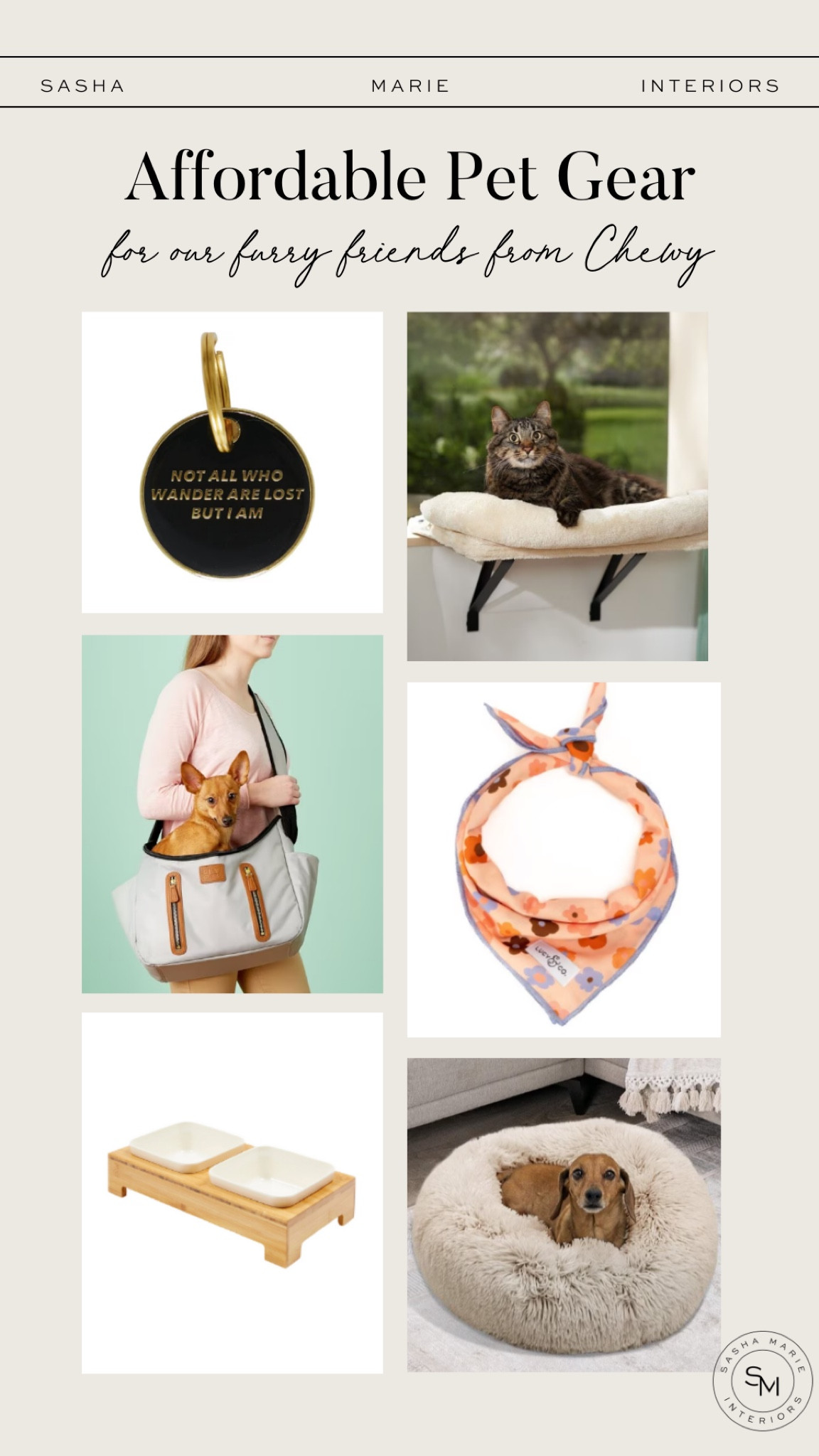 Shop for cute and affordable pet gear from Chewy for your cats and dogs! 

#LTKFindsUnder100 #LTKFindsUnder50 #LTKFamily