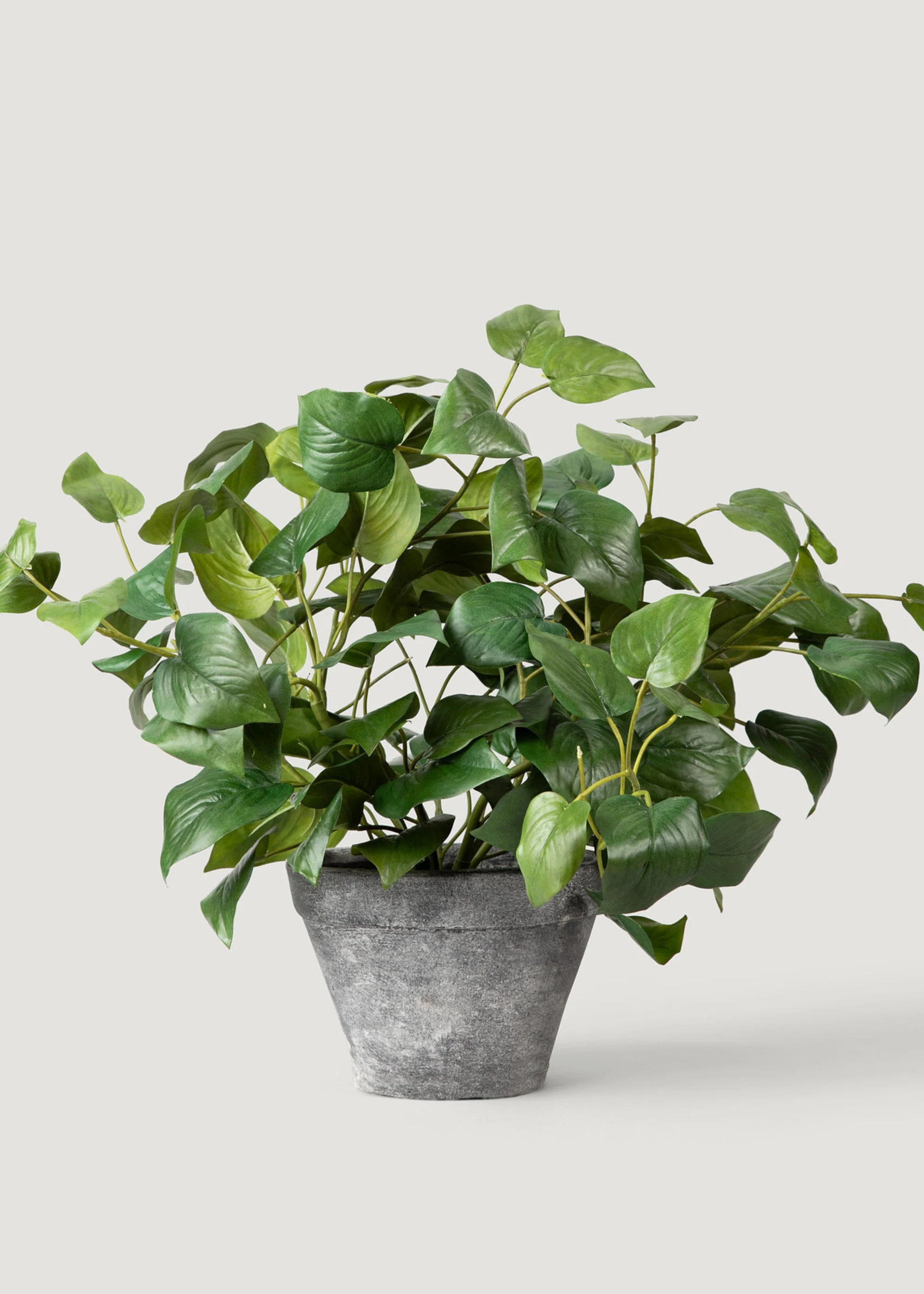 Artificial Philodendron Potted Plant | Fake Potted Plants at Afloral | Afloral