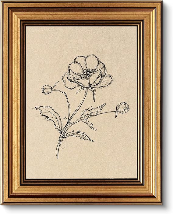 VIYYIEA Vintage Gold Framed Wall Art for Living Room, Poppy Canvas Prints Home Decor, Sketch Pain... | Amazon (US)