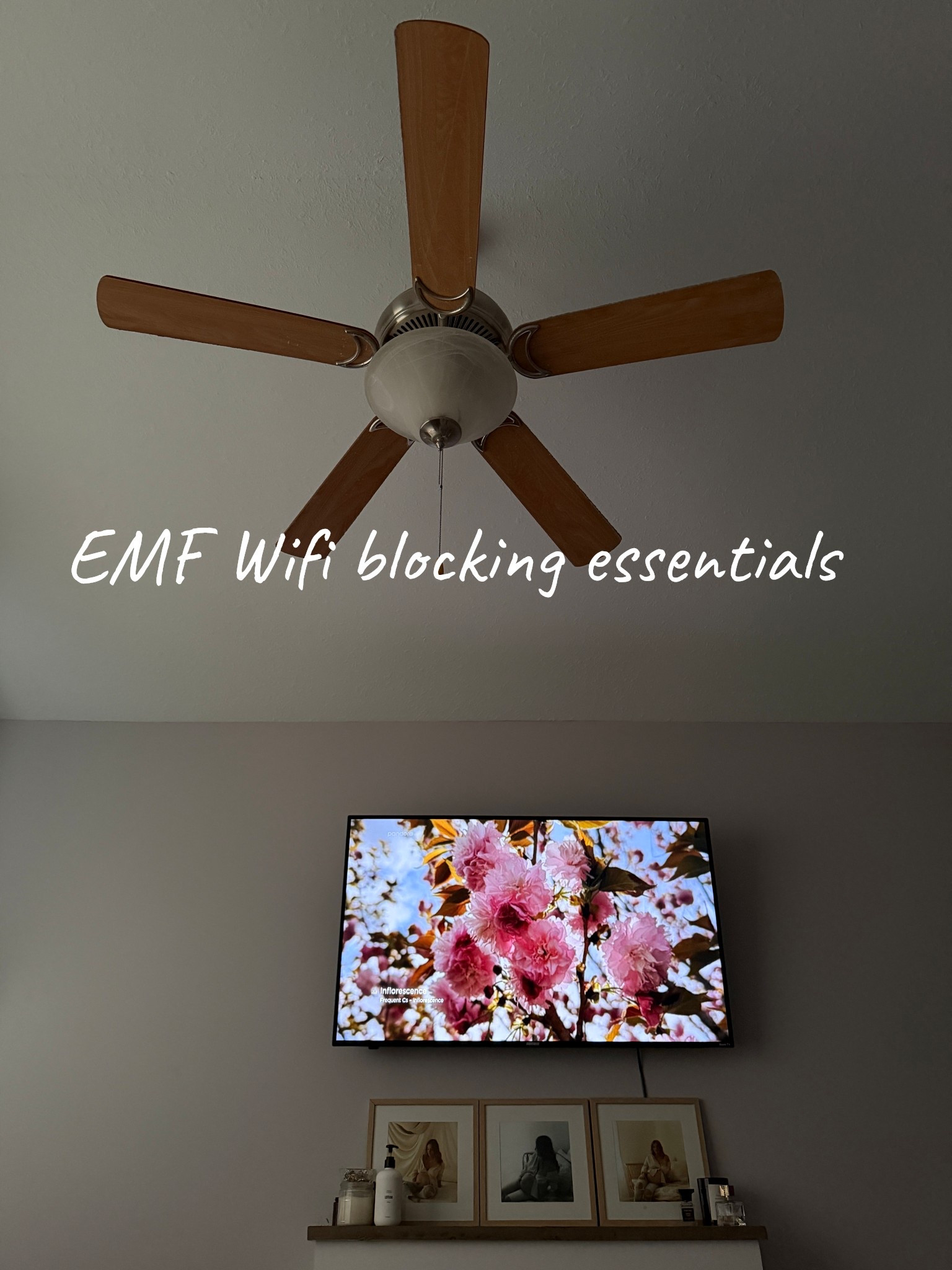 Creating a sanctuary starts with the air we breathe and the signals we surround ourselves with. ✨ I’ve been diving deep into EMF-blocking essentials to help lower the digital noise in our home, especially in the rooms where we rest. From router shields to shielding fabrics, here is everything we’re using to create a lower-tech, higher-vibe space. 🌿

#LTKmorningroutine #LTKdayinmylife #LTKHome