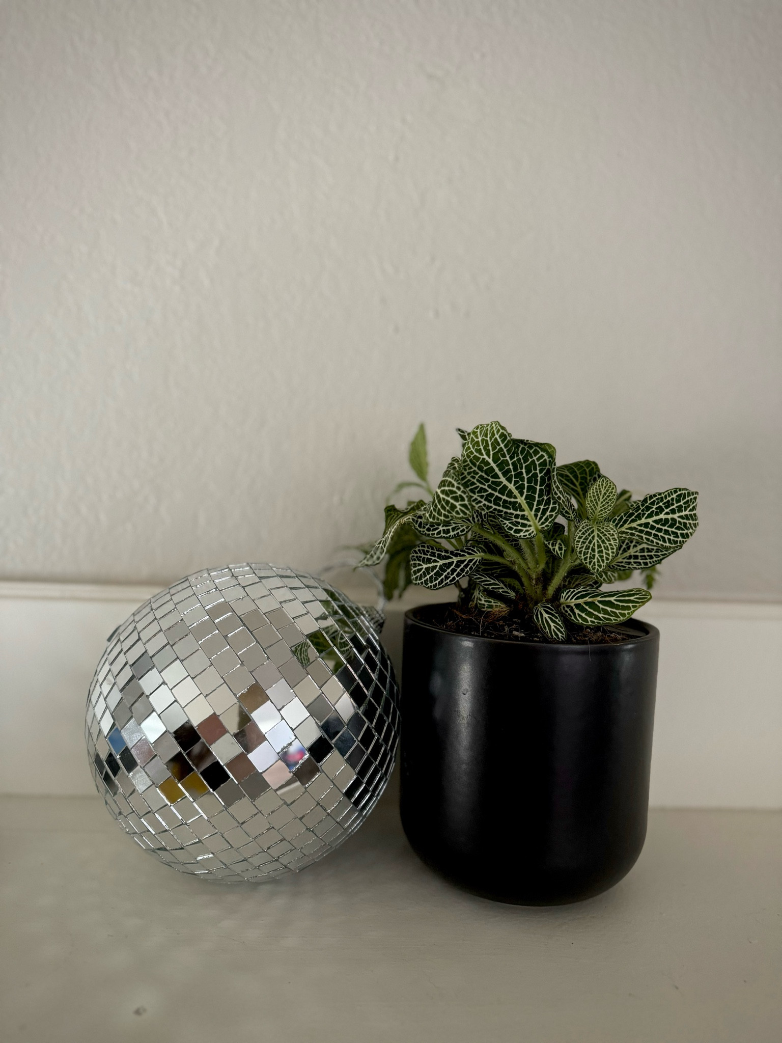 Loving my little disco ball/plant set up! Especially when the sun hits! 

Home | Decor | Disco | Plants 

#LTKHome #LTKSeasonal #LTKFindsUnder50