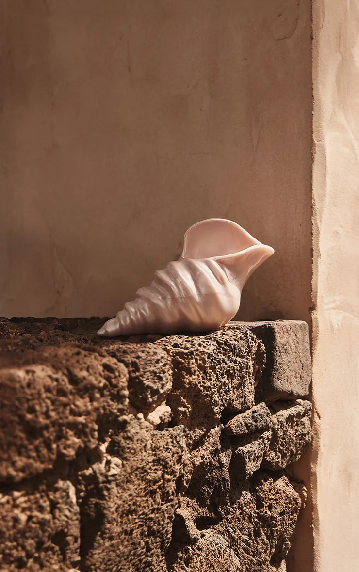 Ivory Conch Shell Hard Clutch | PrettyLittleThing UK