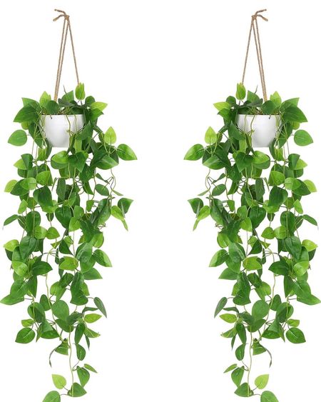 Lush hanging artificial plants, pots and string included. Perfect to bring that boho pop of green into any space. #summer #decor #home #plants #spring #interior 

#LTKfamily #LTKfindsunder50 #LTKhome