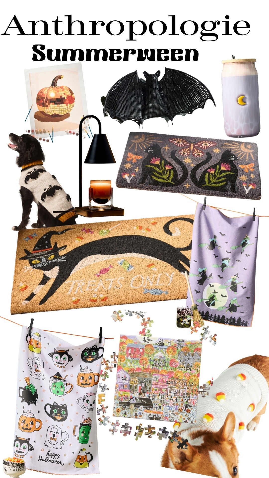I love Halloween 🎃 even in the summertime! 🦇 #halloween #summerween

#LTKFindsUnder100 #LTKPets #LTKSeasonal