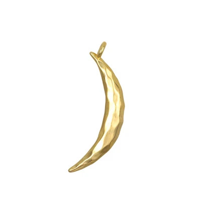 Taryn Truly Honor Your Growth  Moon Charm | Satya Jewelry