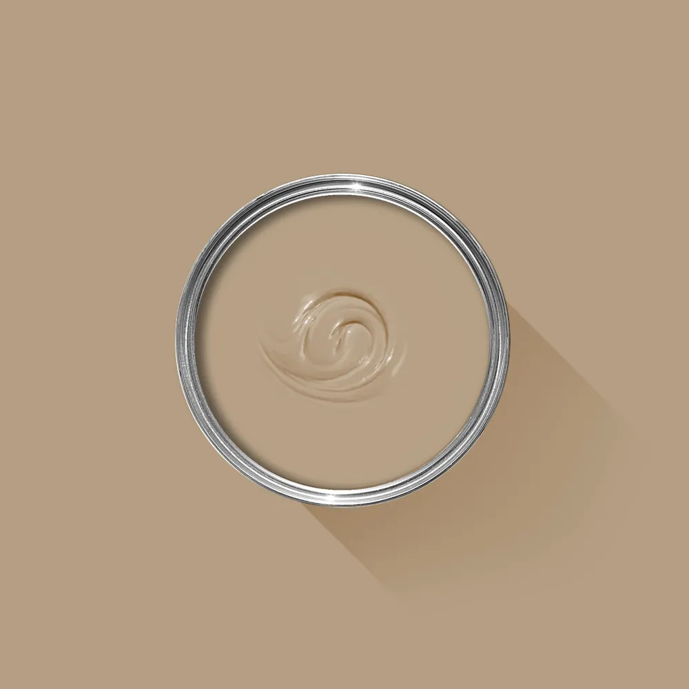 Broccoli Brown | Farrow & Ball (Global)