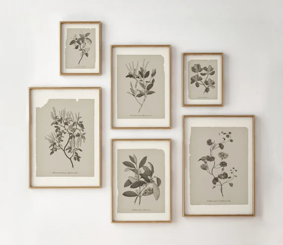 Set of 6 Printable Botanical Prints | Neutral Gallery Wall Art Set | Vintage Botanical Print Wall... | Etsy (CAD)