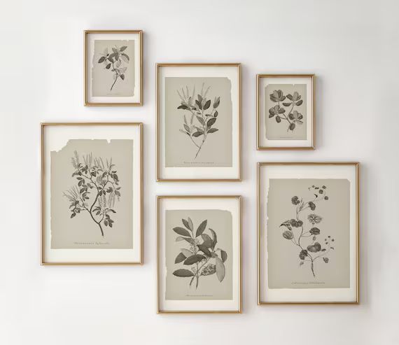 Set of 6 Printable Botanical Prints | Neutral Gallery Wall Art Set | Vintage Botanical Print Wall... | Etsy (CAD)