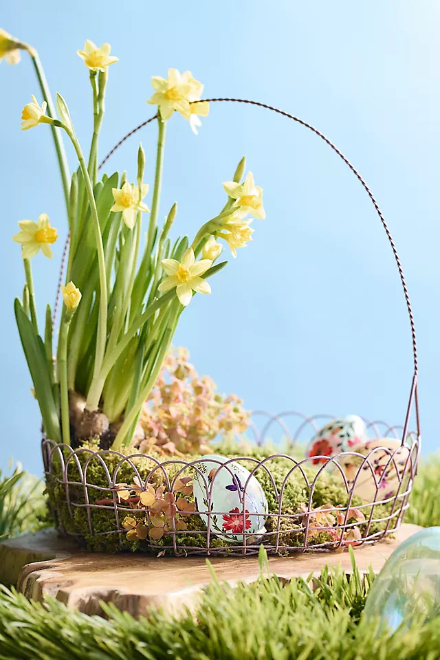 Scalloped Wire Basket, Large | Terrain