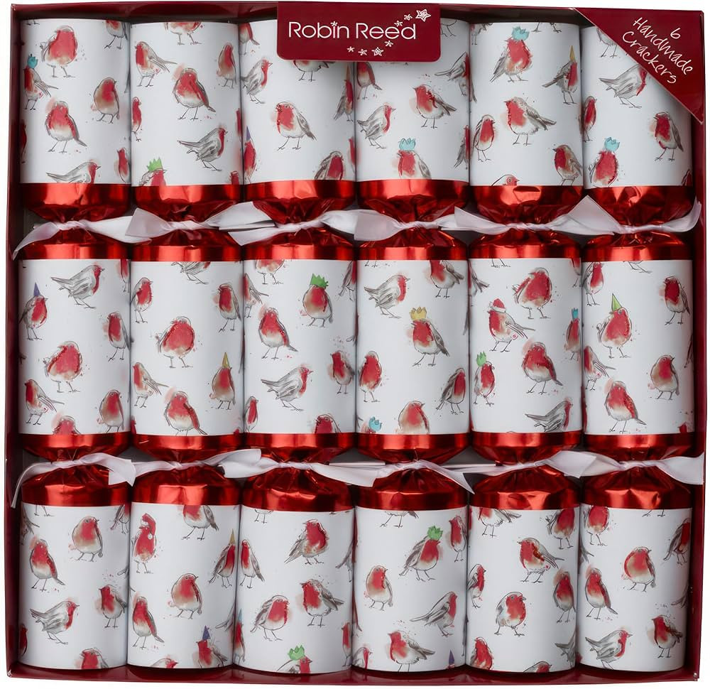 Racing Robin Christmas Party Favors - Set of 6 Racing Game Favors containing wind-up characters t... | Amazon (US)