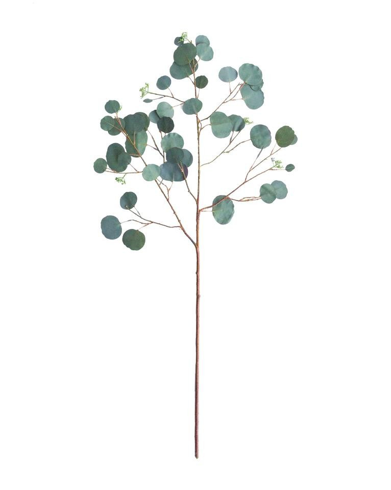 Faux Seeded Dollar Eucalyptus Stem | McGee & Co.