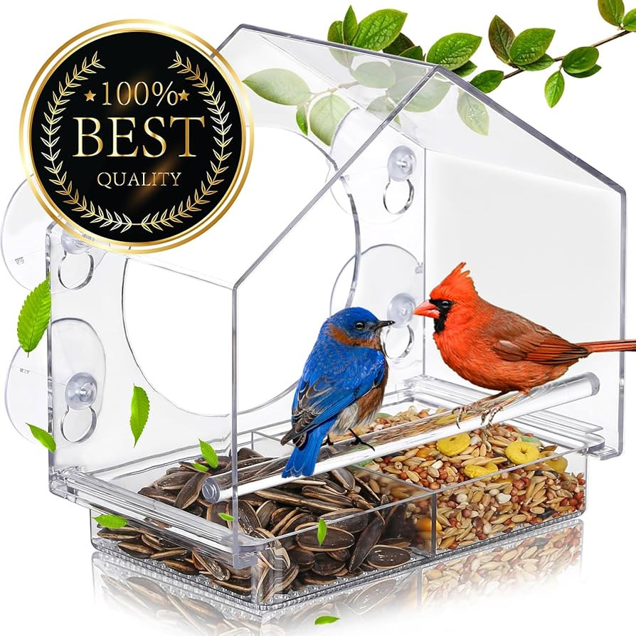 Window Bird Feeder with 5 Extra Strong Suction Cups,Clear Bird House Window for Outdoors, Transpa... | Amazon (US)