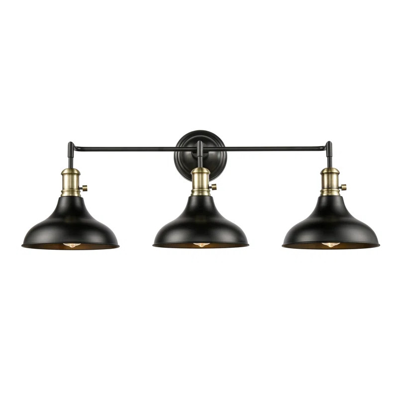 Irvington 3 - Light Dimmable Black Vanity Light | Wayfair Professional
