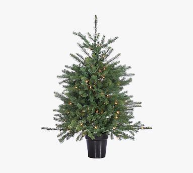 Potted Pine Tree With Clear Lights - 4' | Pottery Barn (US)