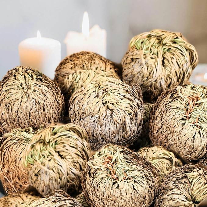 14-Pack Large Premium Dried Rose of Jericho, Selaginella Resurrection Grass, Dried Fern Scale Lea... | Amazon (US)