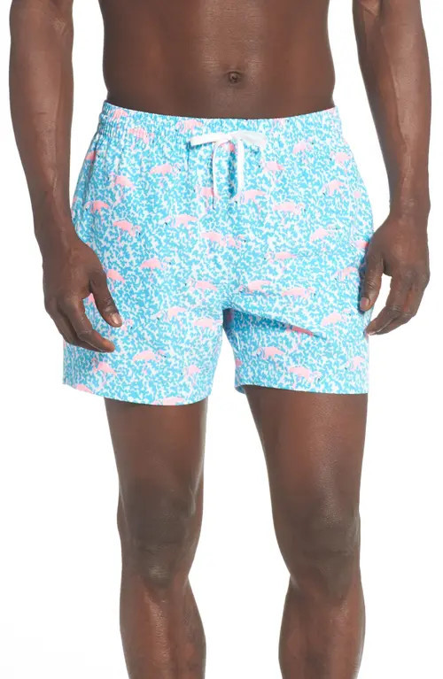 Chubbies 5.5-Inch Swim Trunks in The Domingos Are For Flamingos at Nordstrom, Size Medium | Nordstrom