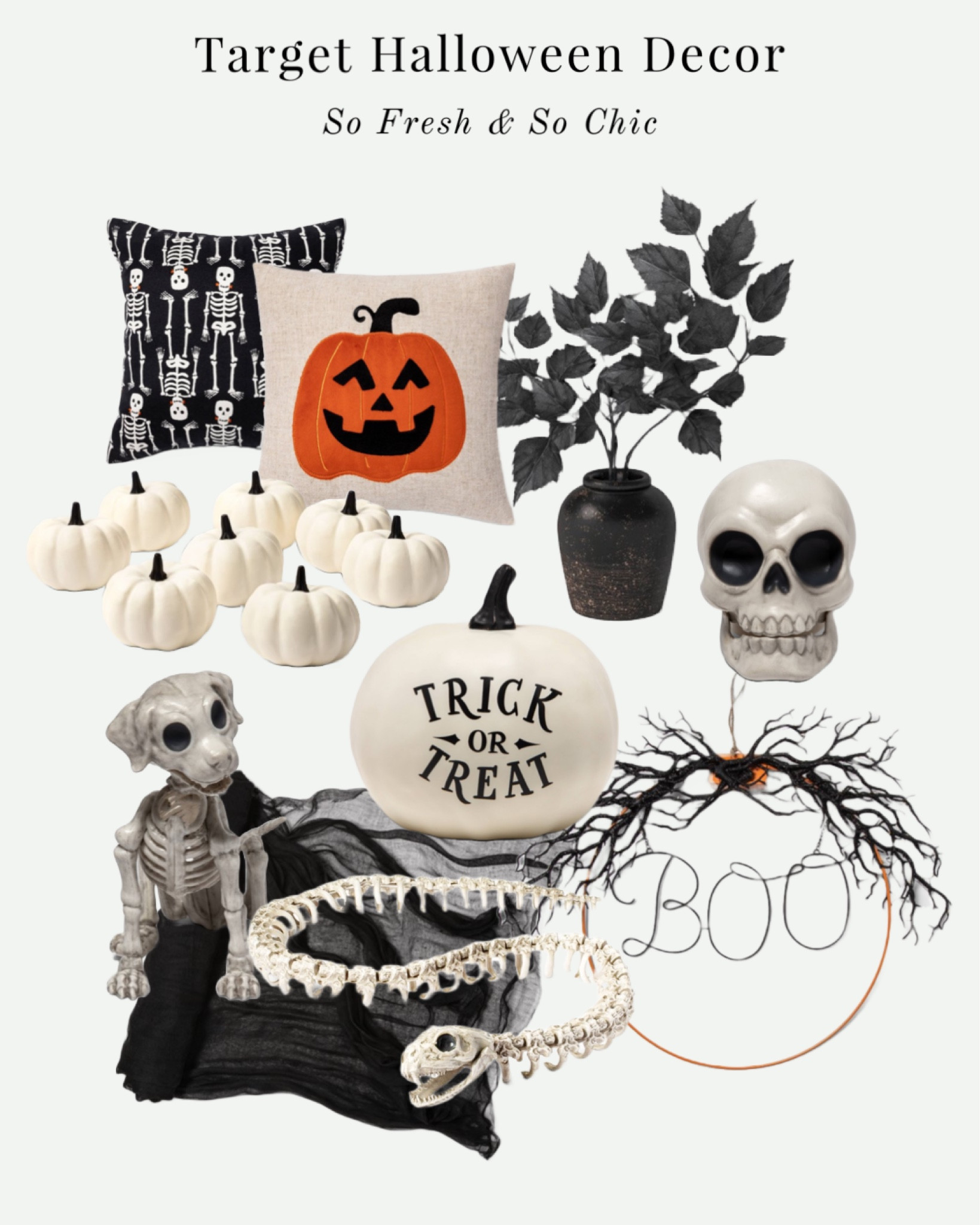 Halloween decoration at Target! 
-
Black and white Halloween decor - black gauze cloth - painted white pumpkins - snake skeleton - dog skeleton - skull decor - minimalist Halloween - faux black leaf stems - faux black florals - light up wreath - Halloween throw pillows - kids room Halloween decor - living room Halloween decor - affordable Halloween decor 

#LTKhome #LTKHalloween #LTKunder100