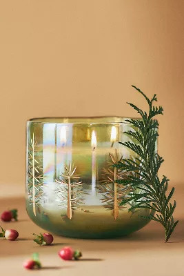 Gilded Evergreen Woody Fresh Balsam & Cedarwood Glass Candle | Anthropologie (US)