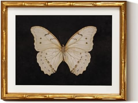 InSimSea Gold Bamboo Framed Canvas Wall Art, Retro White Butterfly Animal Paintings, Antique Vint... | Amazon (US)