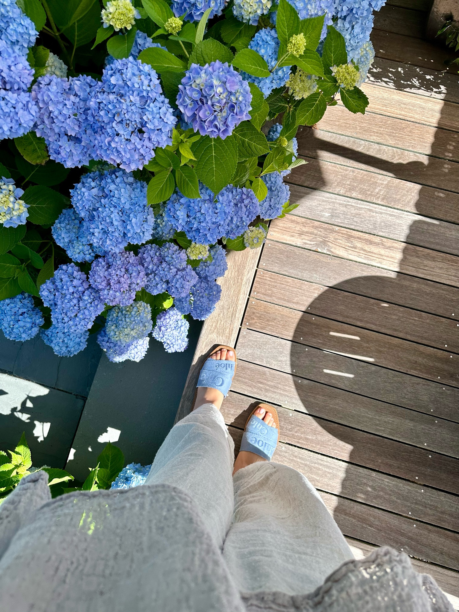 Hydrangea blue sandals? Yes, please!

#LTKStyleTip #LTKTravel #LTKShoeCrush