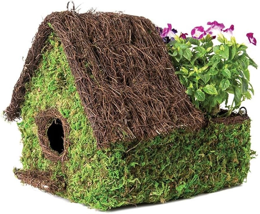 SuperMoss (56002) Plantable Maison Birdhouse, 9.5" by 10.5", Fresh Green | Amazon (US)