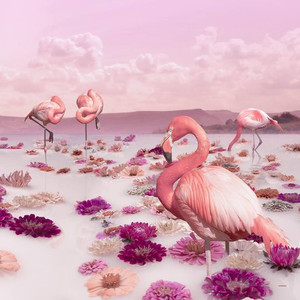 THINK ON PINK VOL. III - Limited Edition of 7 Photograph