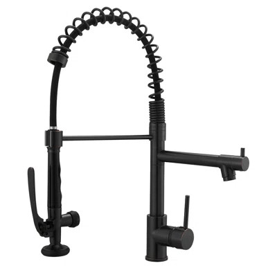 Pull Down Single Handle Kitchen Faucet with Accessories | Wayfair North America