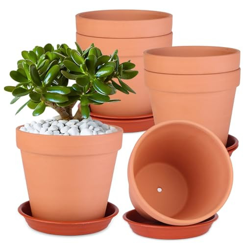 Tuqaumu 6 Pack 6 Inch Terracotta & Clay Pots with Saucer for Plants, Large Terra Cotta Plant Pot with Drainage Hole, Flowerpot for Indoor Outdoor Plants, Crafts, Wedding Favor | Amazon (US)