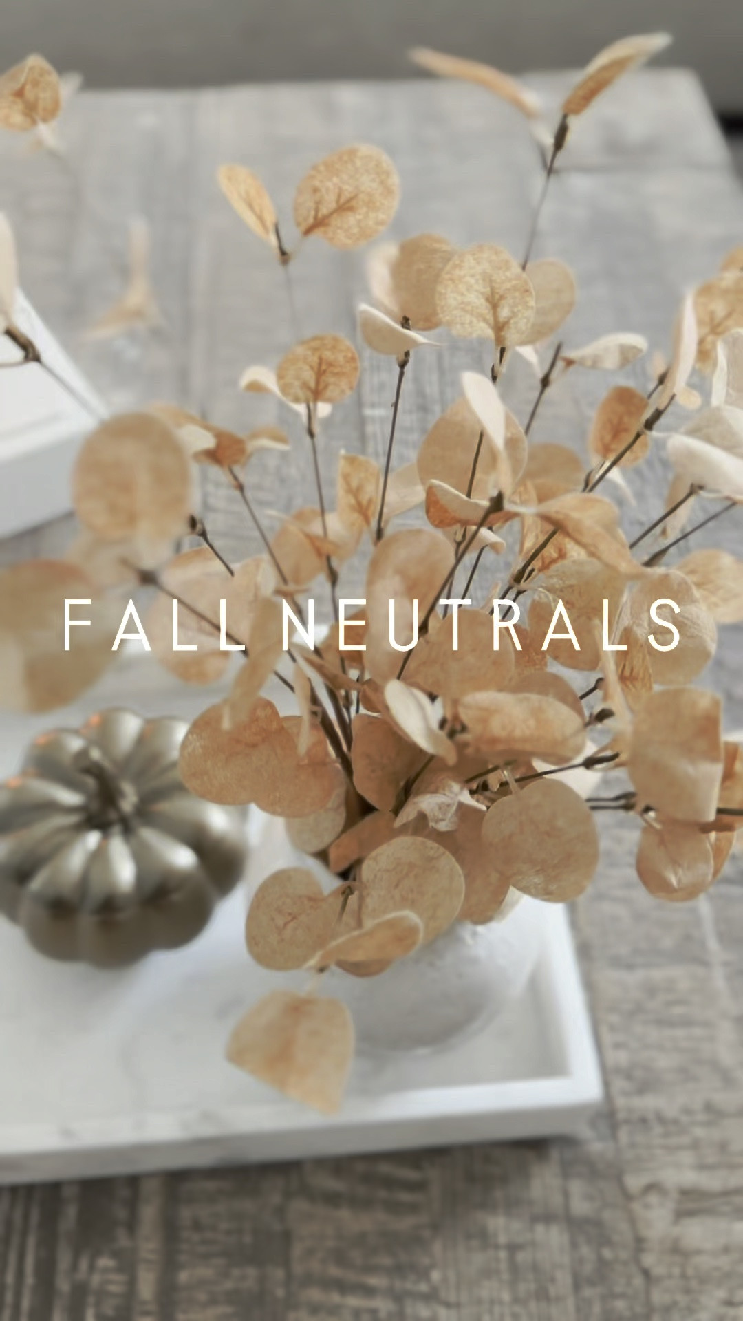 All the fall neutrals 

#falldecor #fall #pillows #fallhome


#LTKHome #LTKFindsUnder50 #LTKStyleTip